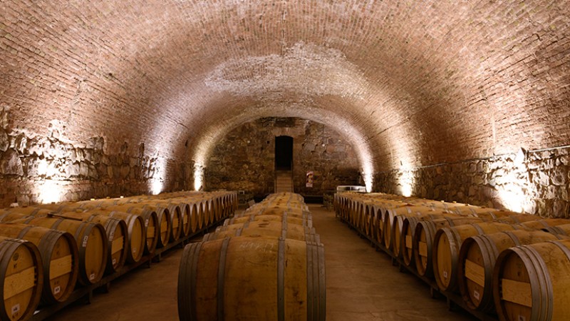 Godoy Cruz apuesta al proyecto "Ciudad del Vino" para potenciar el turismo